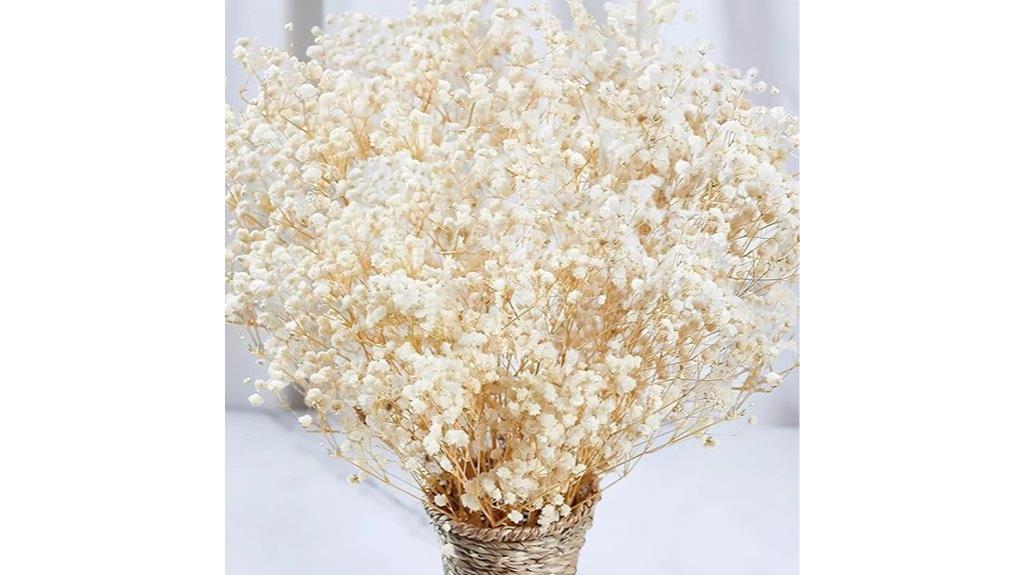 bulk ivory baby s breath