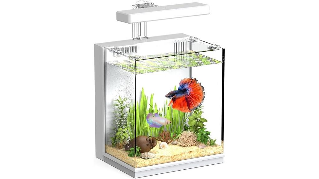 compact aquarium with filtration