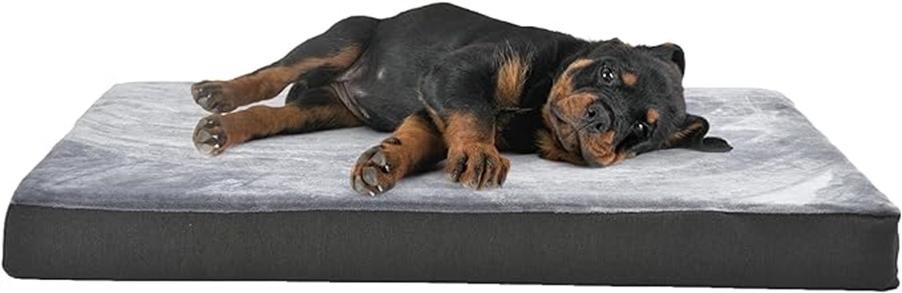 cooling gel dog bed