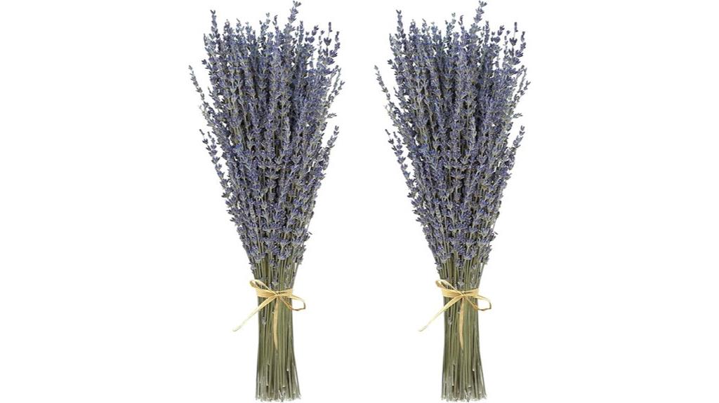 dried lavender for decor