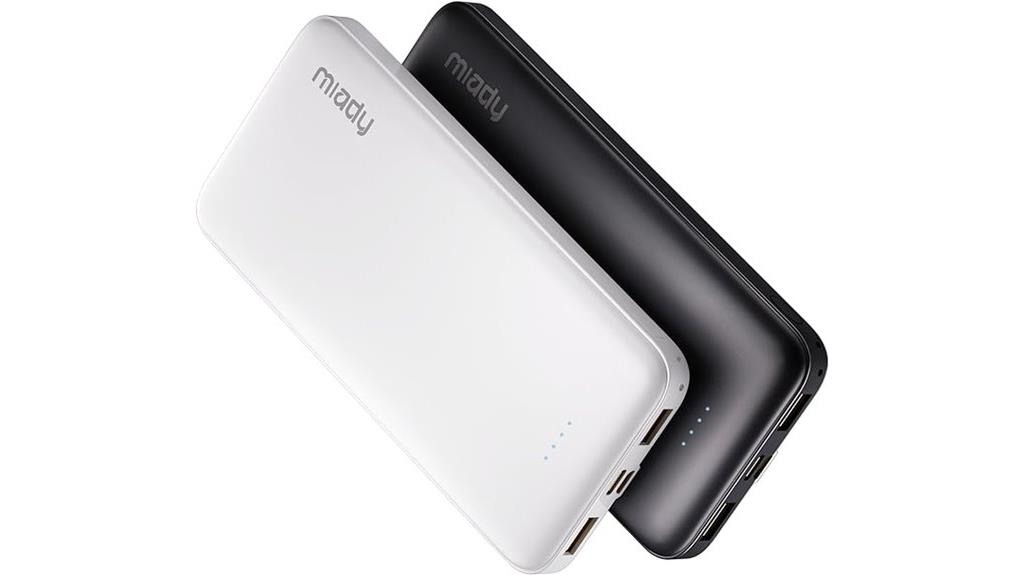 dual usb portable power