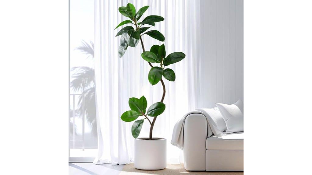fake rubber tree plant