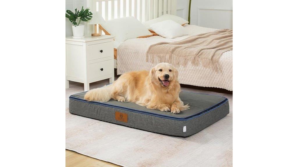 large orthopedic dog bed