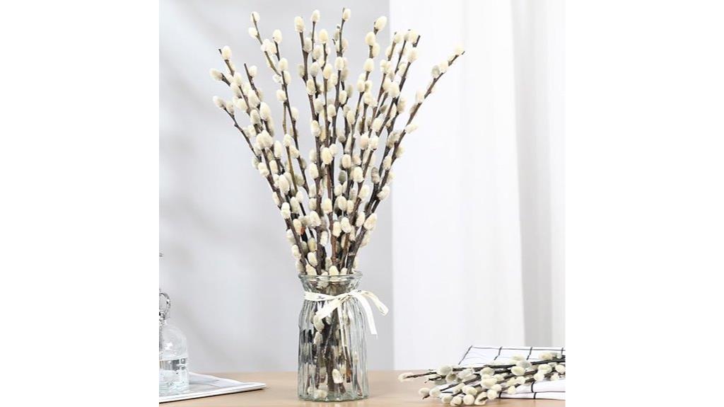 natural dried pussywillow decor
