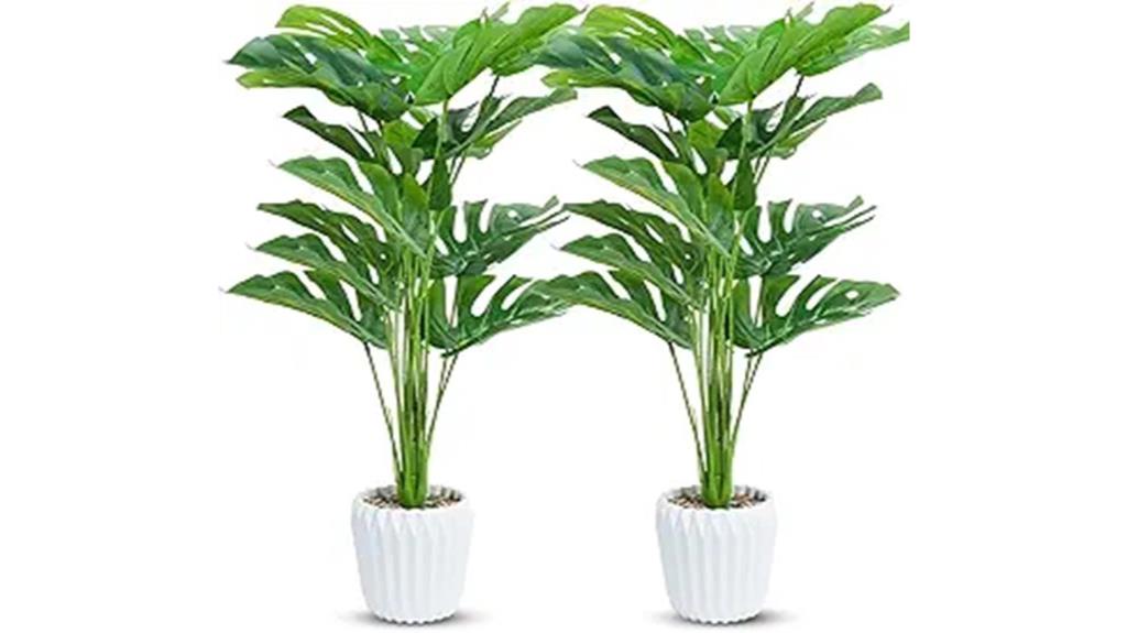 pair of white pot monstera