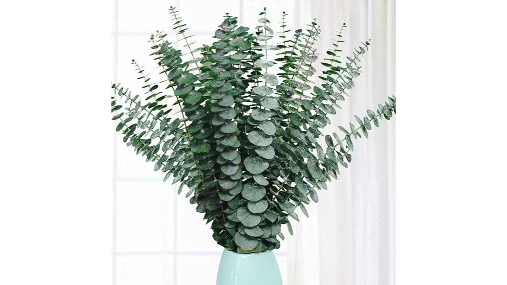 set of twenty dried eucalyptus