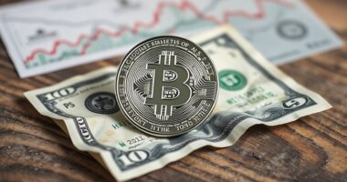 bitcoin as inflation hedge