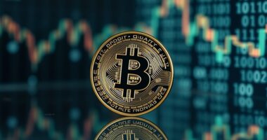 digital currency for beginners