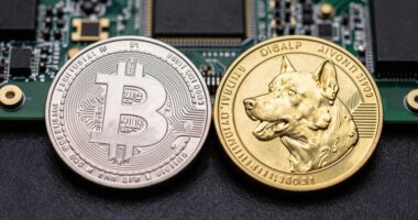 shared mining algorithms explained