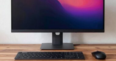 inappropriate monitor choice cheapens