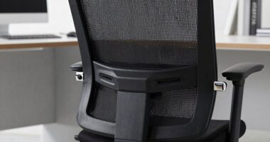 lumbar support questions overlooked