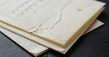 paper backups require protection