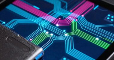 token design influences network behavior
