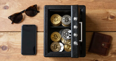 10 Best Portable Safes For Crypto Travel In 2026